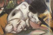 Franz Marc Pigs (mk34) oil painting reproduction